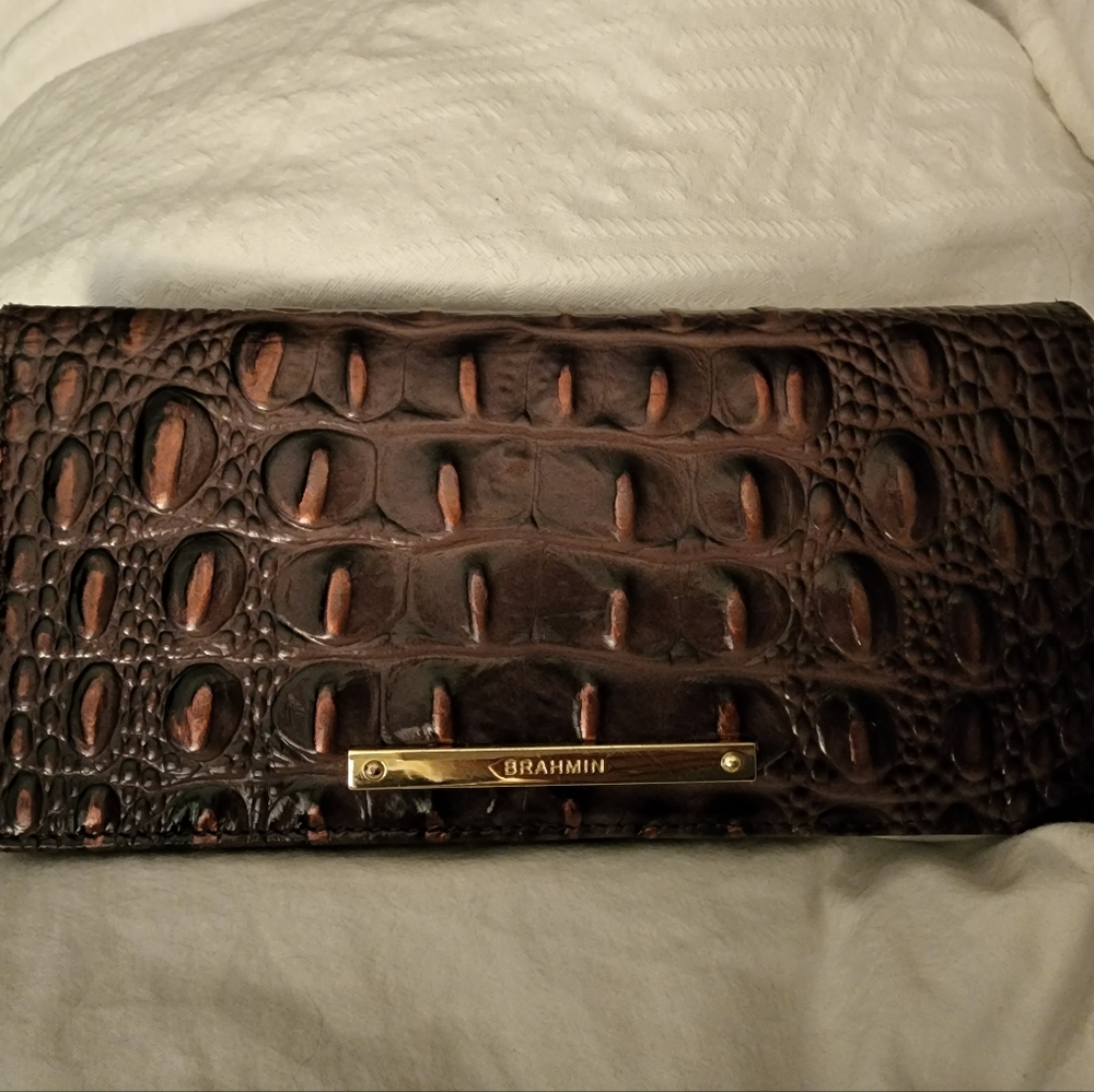 Brahmin Fig Ady